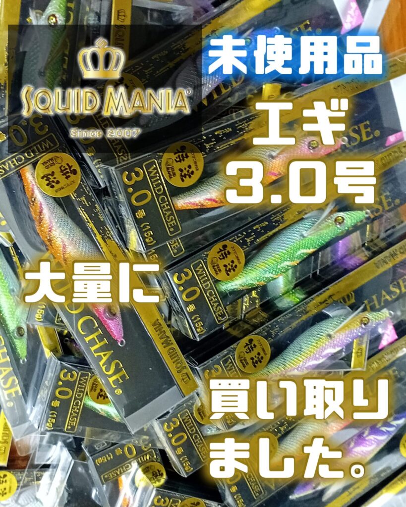 SQUID MANIA　エギ3.0号　大量に買い取りさせて頂きました。　エコログ諫早多良見店