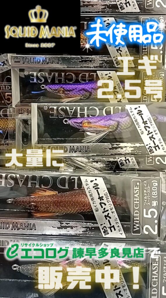 SQUID MANIA　エギ2.5号　大量に販売しております。　エコログ諫早多良見店