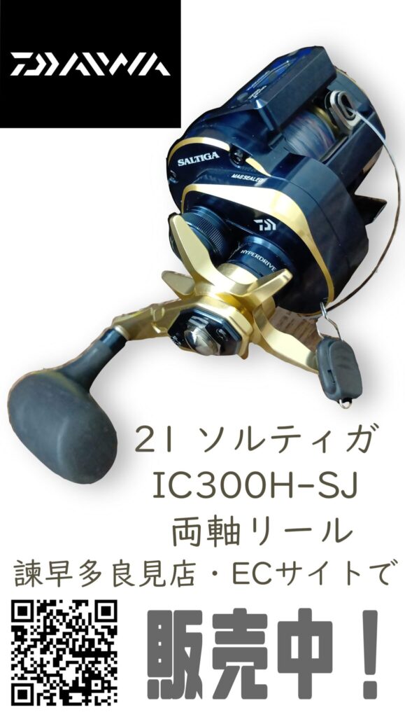 ダイワ(DAIWA) 21 ソルティガ IC300H-SJ 両軸リール　販売中です。　エコログ諫早多良見店